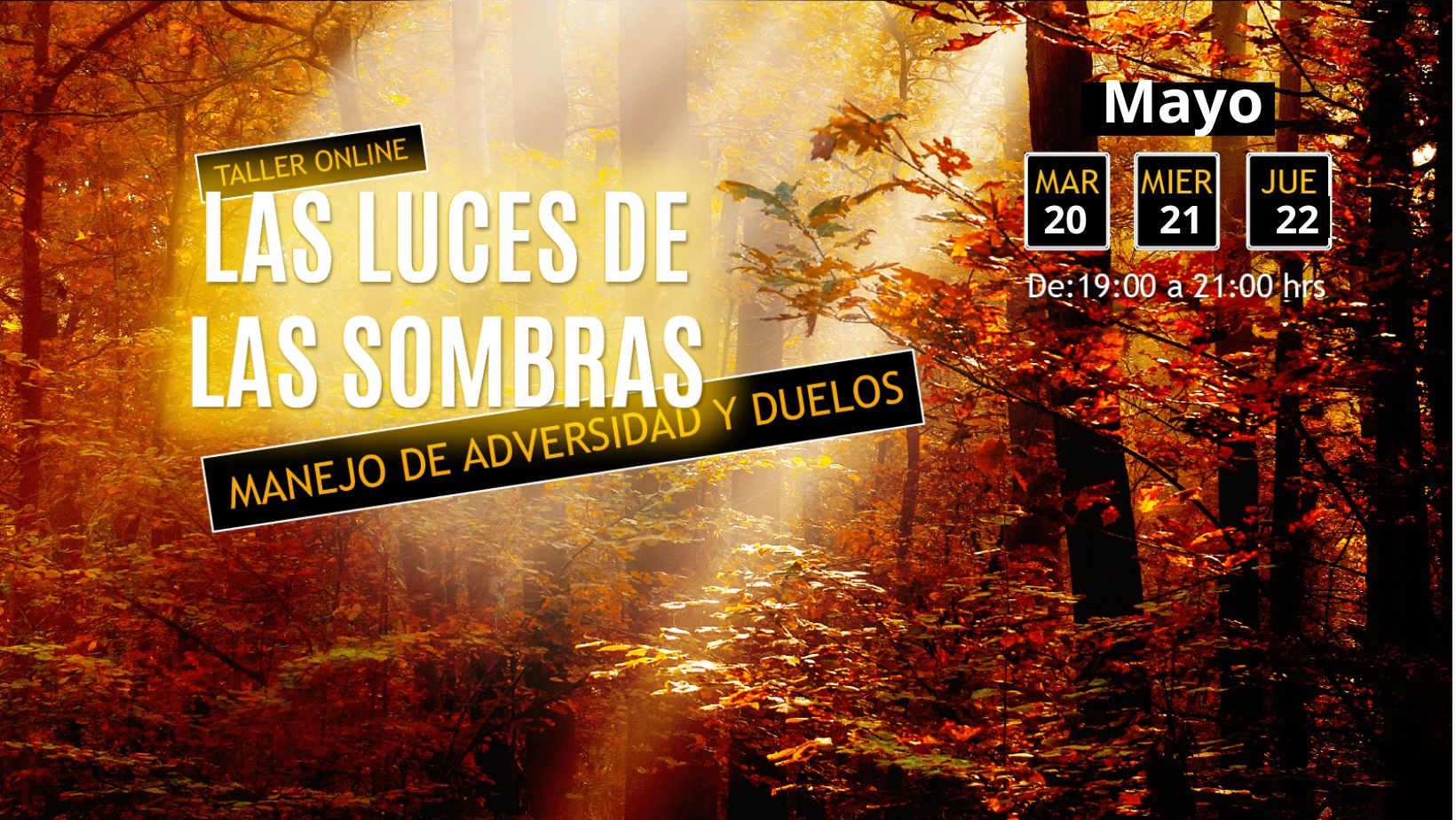 a9dce44bbebb5ce14820dec1cbde6fdb.jpeg